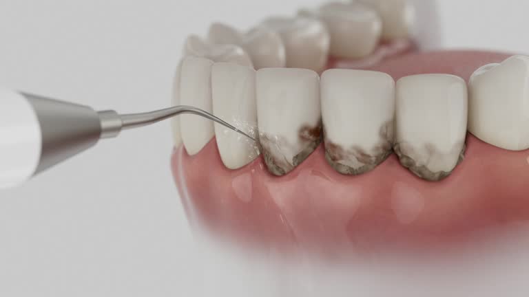 Reliable Dental contractor in Cosmopolis, WA by Dentist Open Now